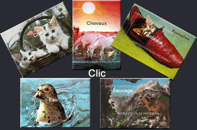 Cartes postales anciennes Animaux